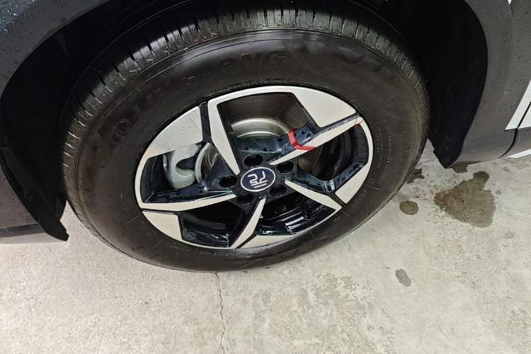 Used BYD Yuan UP 2024 401KM Leading Edition Exterior 4