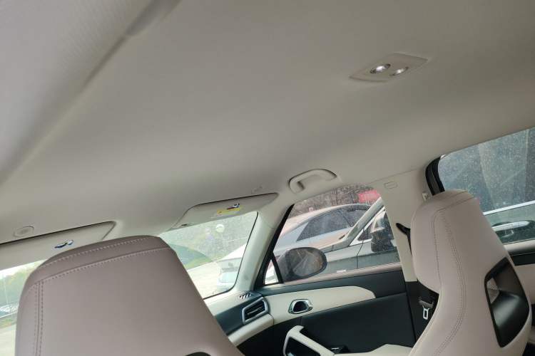 Used BYD Yuan UP 2024 401KM Leading Edition Headliner