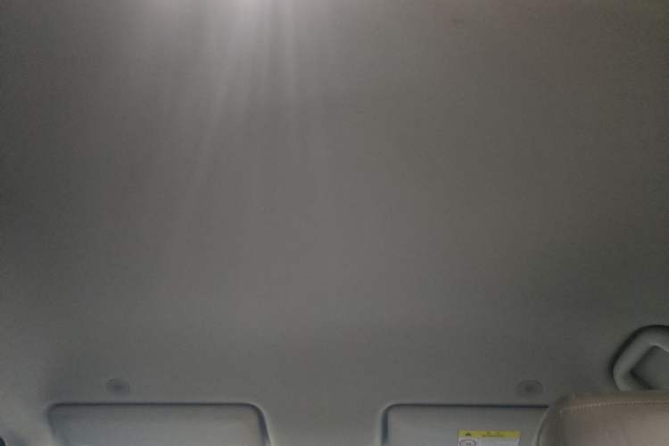 Used BYD Yuan UP 2024 401 km Active Version Headliner