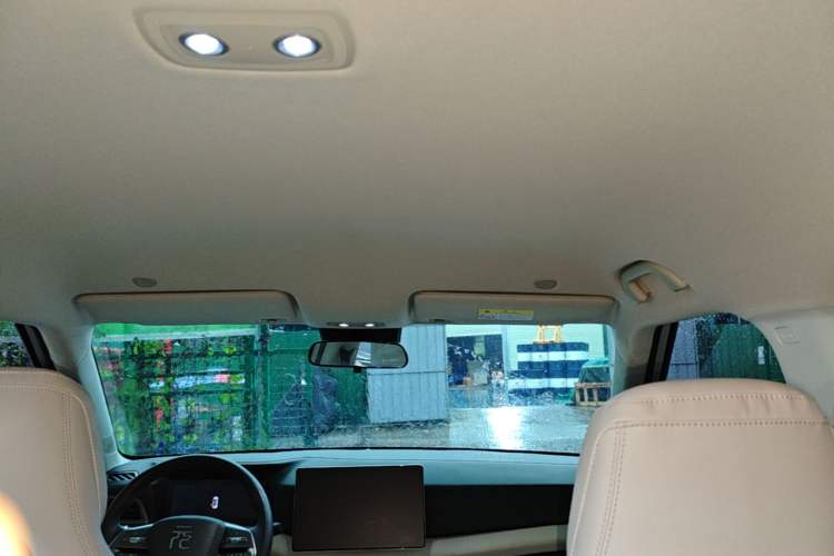 Used BYD Yuan UP 2024 401KM Leading Edition Headliner
