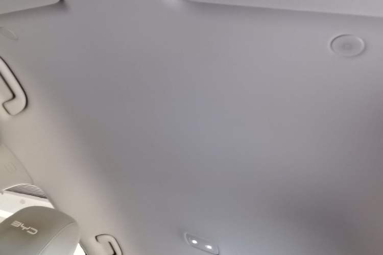 Used BYD Yuan UP 2024 401KM Leading Edition Headliner