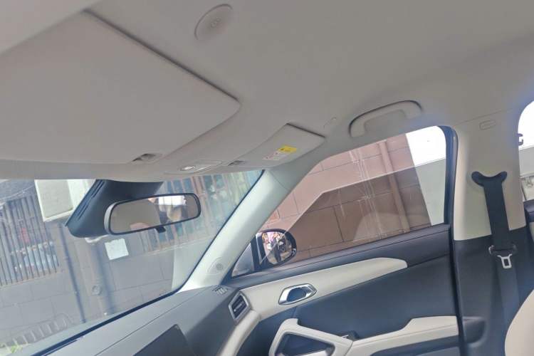 Used BYD Yuan UP 2024 401KM Leading Edition Headliner