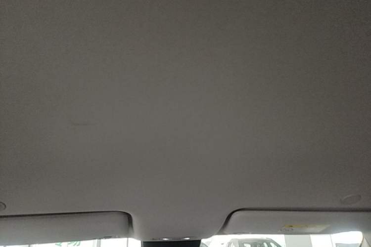 Used BYD Yuan UP 2024 401KM Leading Edition Headliner