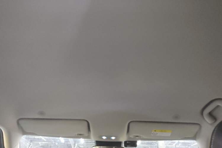 Used BYD Yuan UP 2024 401 km Active Version Headliner