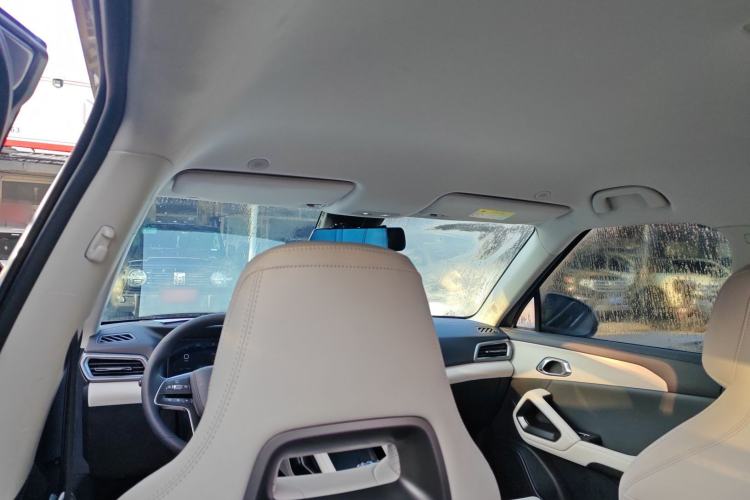 Used BYD Yuan UP 2024 301KM Leading Edition Headliner