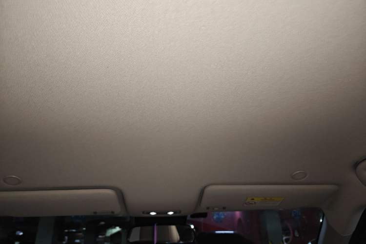 Used BYD Yuan UP 2024 401KM Leading Edition Headliner