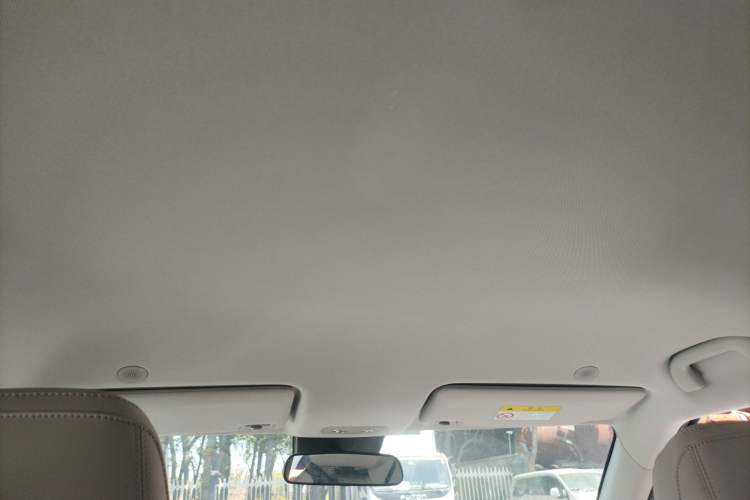 Used BYD Yuan UP 2024 401KM Leading Edition Headliner