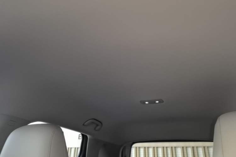 Used BYD Yuan UP 2024 401KM Leading Edition Headliner