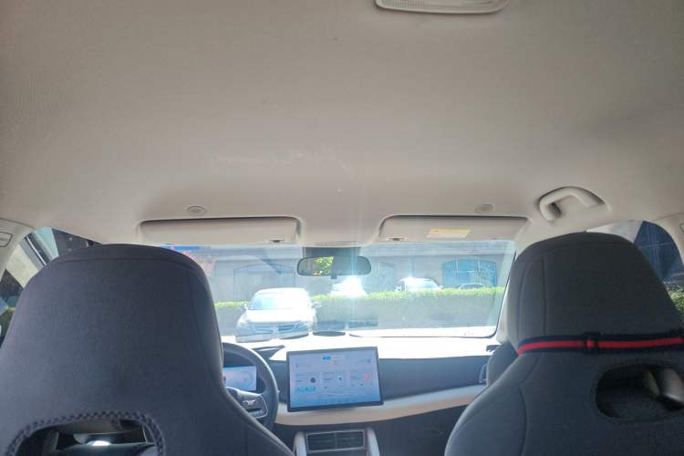 Used BYD Yuan UP 2024 401KM Leading Edition Headliner