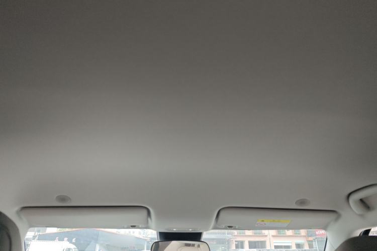 Used BYD Yuan UP 2024 401KM Leading Edition Headliner