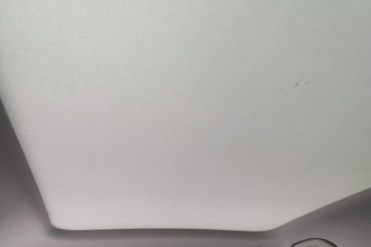 Used BYD Yuan UP 2024 401KM Beyond Edition Headliner