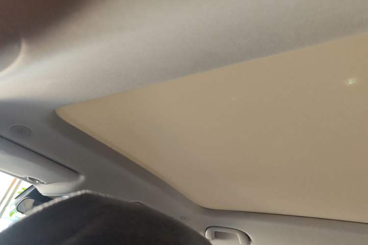 Used BYD Yuan UP 2024 401KM Leading Edition Headliner