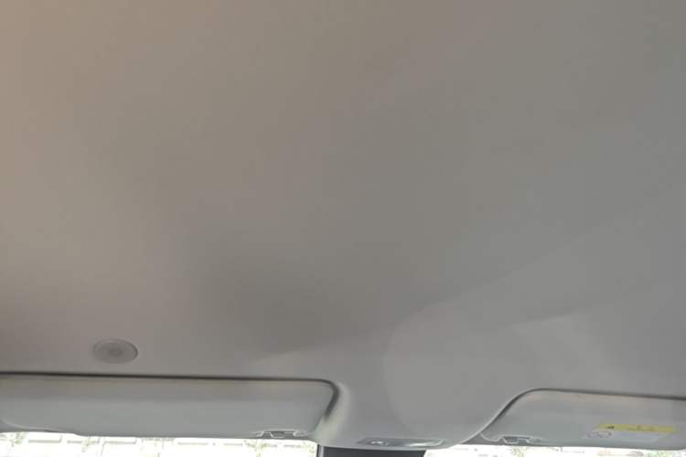 Used BYD Yuan UP 2024 401KM Leading Edition Headliner