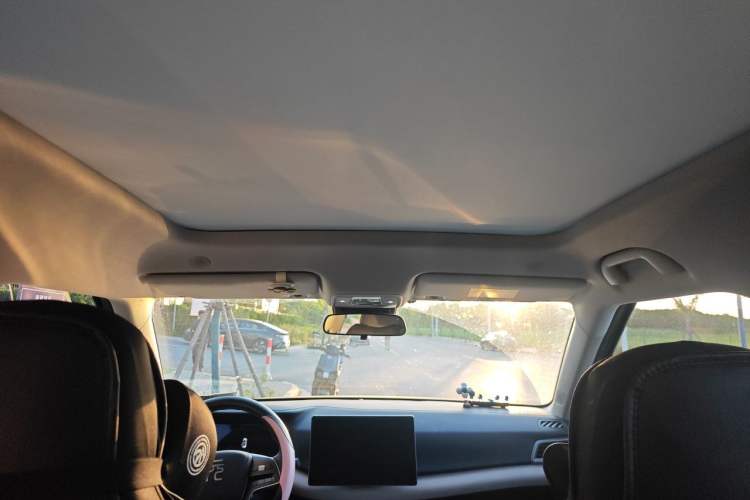 Used BYD Yuan UP 2024 401KM Beyond Edition Headliner