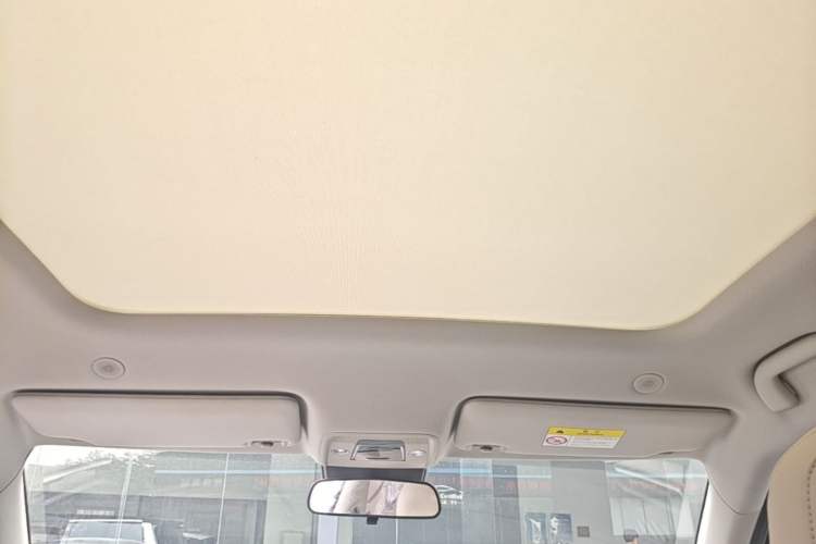 Used BYD Yuan UP 2024 401KM Beyond Edition Headliner