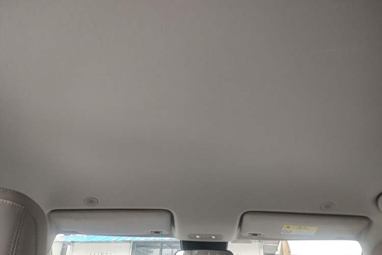 Used BYD Yuan UP 2024 401KM Leading Edition Headliner