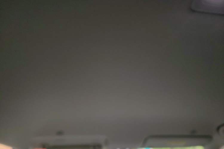 Used BYD Yuan UP 2024 401KM Leading Edition Headliner
