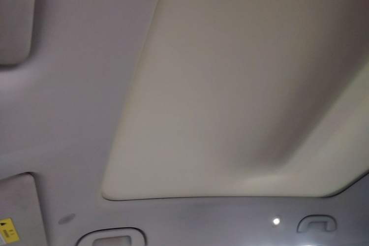 Used BYD Yuan UP 2024 401KM Beyond Edition Headliner