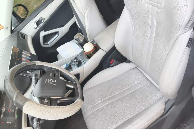 Used BYD Yuan UP 2024 401KM Beyond Edition Left Front Seat