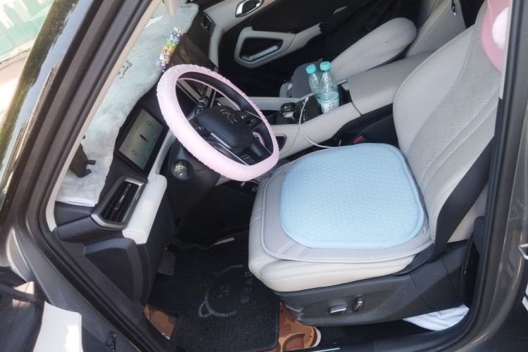 Used BYD Yuan UP 2024 401KM Beyond Edition Left Front Seat