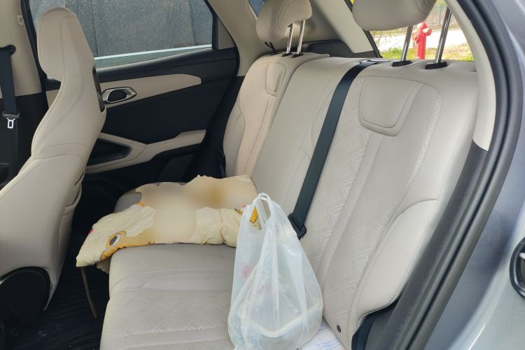 Used BYD Yuan UP 2024 401KM Leading Edition Left Rear Seat