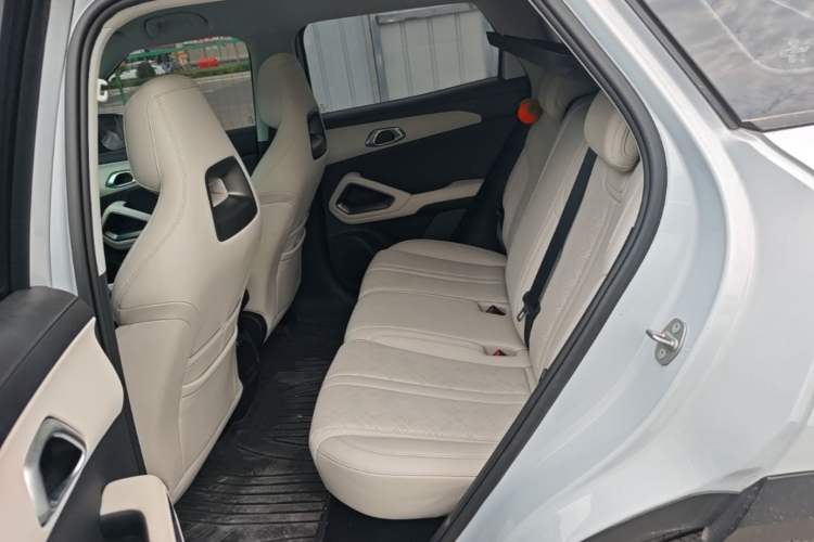 Used BYD Yuan UP 2024 401KM Beyond Edition Left Rear Seat