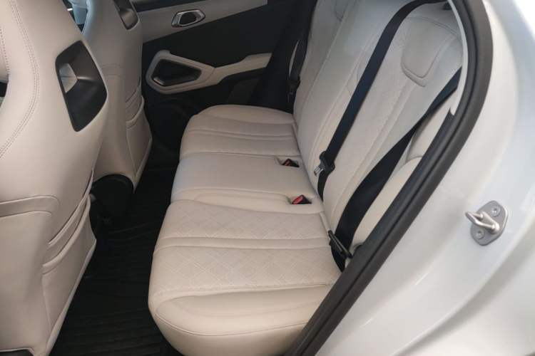 Used BYD Yuan UP 2024 401KM Leading Edition Left Rear Seat
