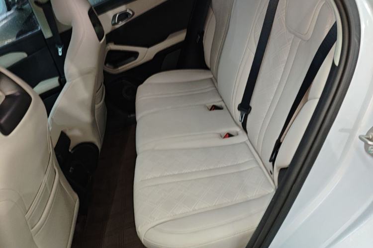 Used BYD Yuan UP 2024 401KM Leading Edition Left Rear Seat