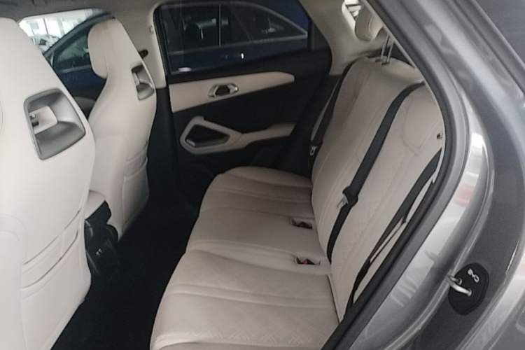 Used BYD Yuan UP 2024 401KM Leading Edition Left Rear Seat