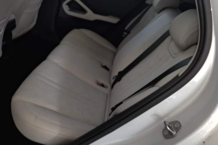 Used BYD Yuan UP 2024 401KM Leading Edition Left Rear Seat