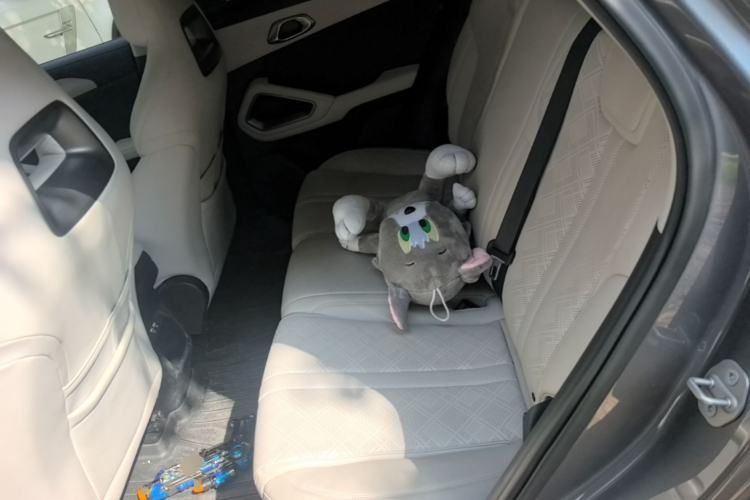 Used BYD Yuan UP 2024 401 km Active Version Left Rear Seat