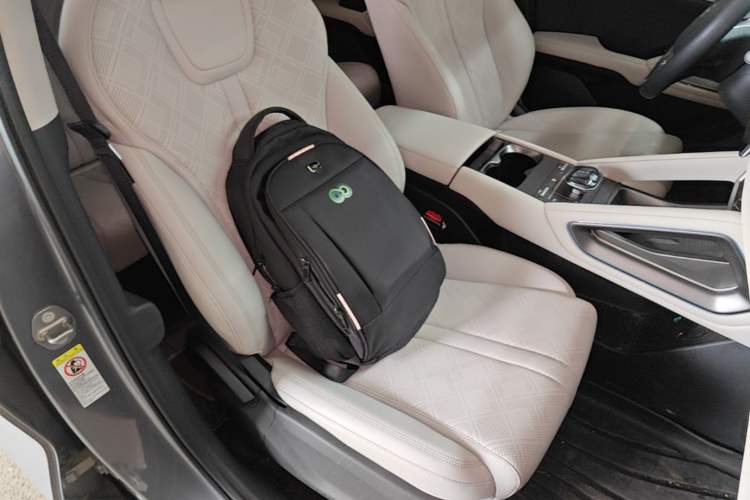 Used BYD Yuan UP 2024 401 km Active Version Right Front Seat
