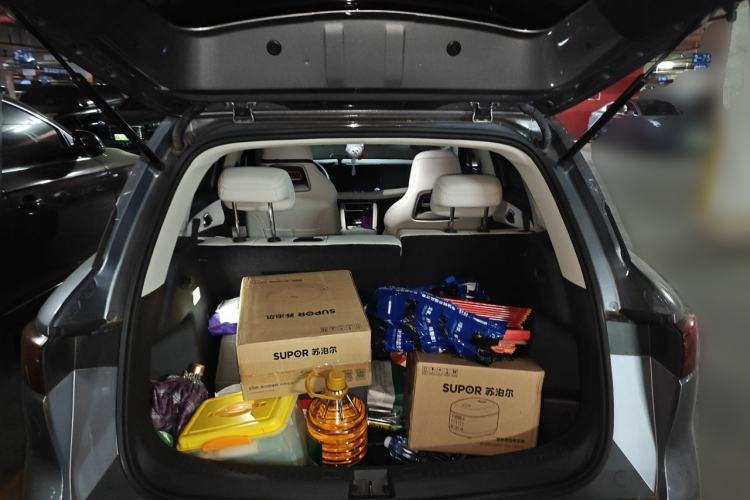 Used BYD Yuan UP 2024 401KM Leading Edition Trunk