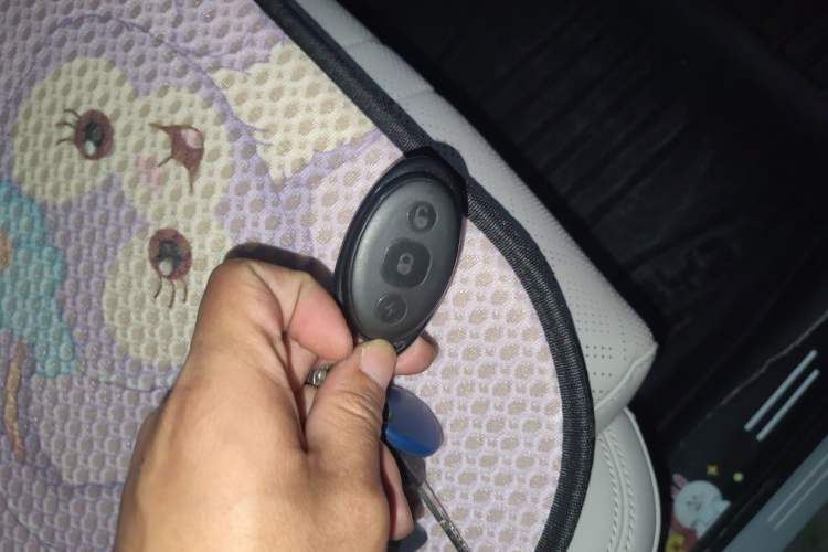 Used BYD Yuan UP 2024 401KM Beyond Edition Vehicle Key
