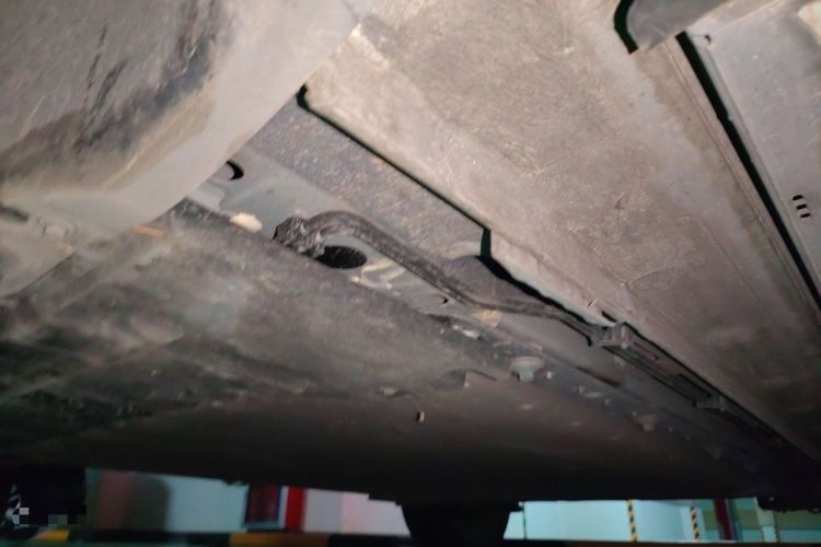 Used BYD Yuan UP 2024 401 km Active Version Chassis Front Left