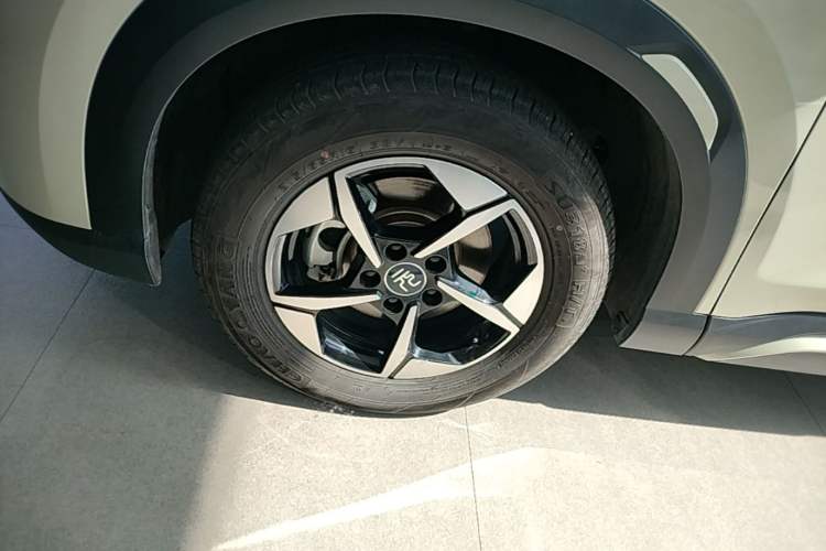 Used BYD Yuan UP 2024 401KM Leading Edition Exterior 4