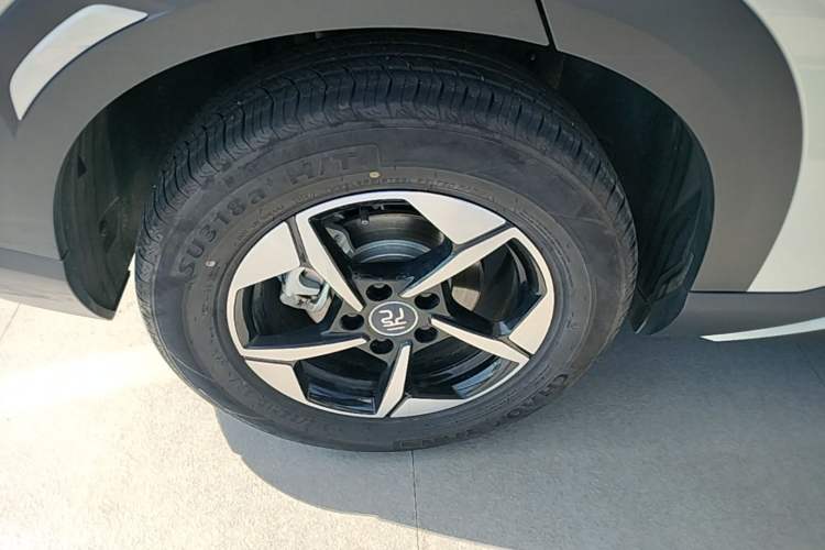 Used BYD Yuan UP 2024 401KM Leading Edition Exterior 5