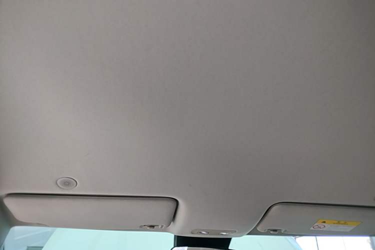 Used BYD Yuan UP 2024 401KM Leading Edition Headliner