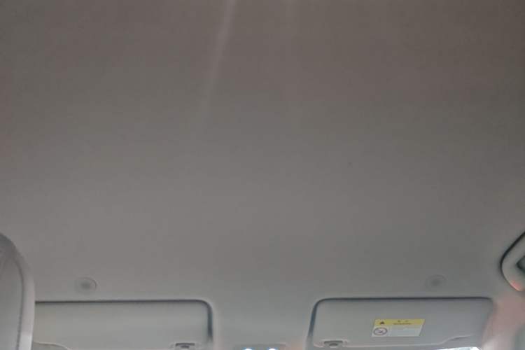 Used BYD Yuan UP 2024 401 km Active Version Headliner