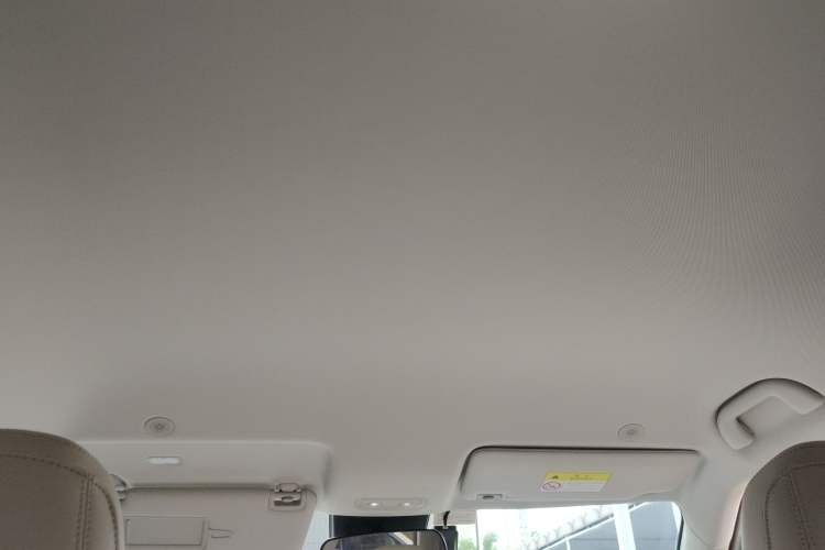 Used BYD Yuan UP 2024 301KM Leading Edition Headliner