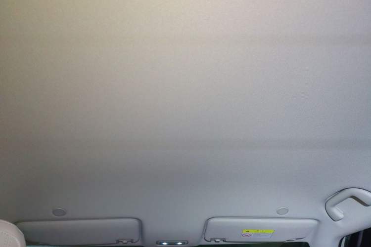 Used BYD Yuan UP 2024 401 km Active Version Headliner