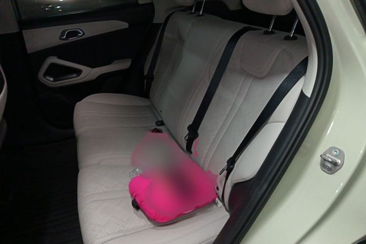 Used BYD Yuan UP 2024 401KM Leading Edition Interior 4