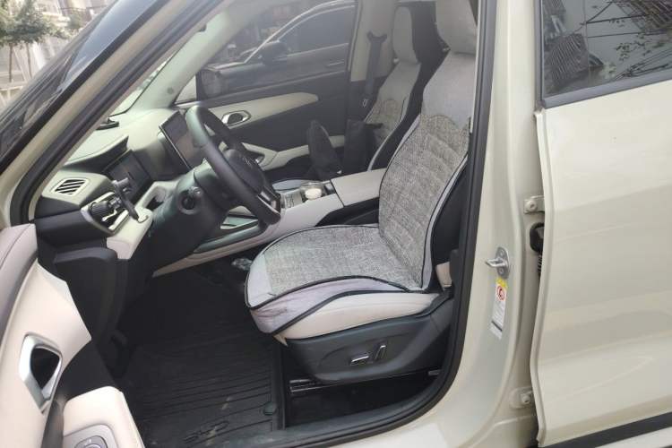 Used BYD Yuan UP 2024 401KM Beyond Edition Left Front Seat
