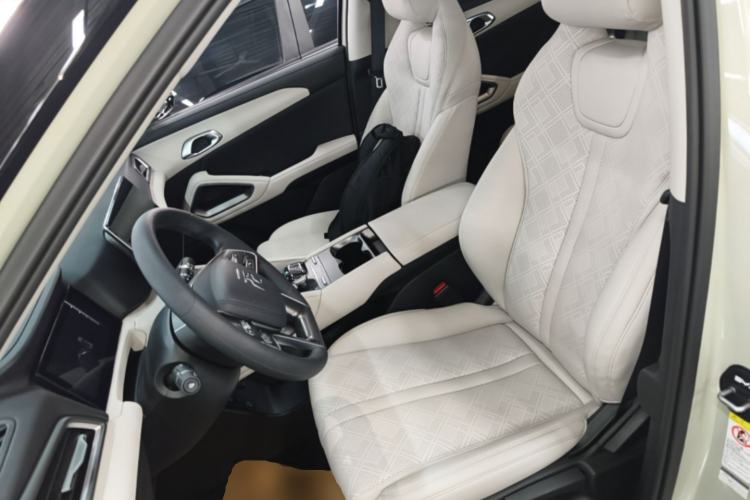 Used BYD Yuan UP 2024 401KM Leading Edition Left Front Seat