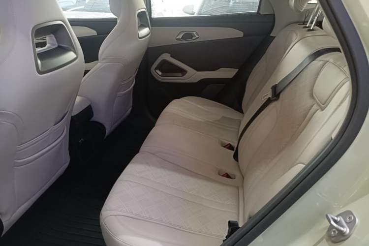 Used BYD Yuan UP 2024 401KM Leading Edition Left Rear Seat