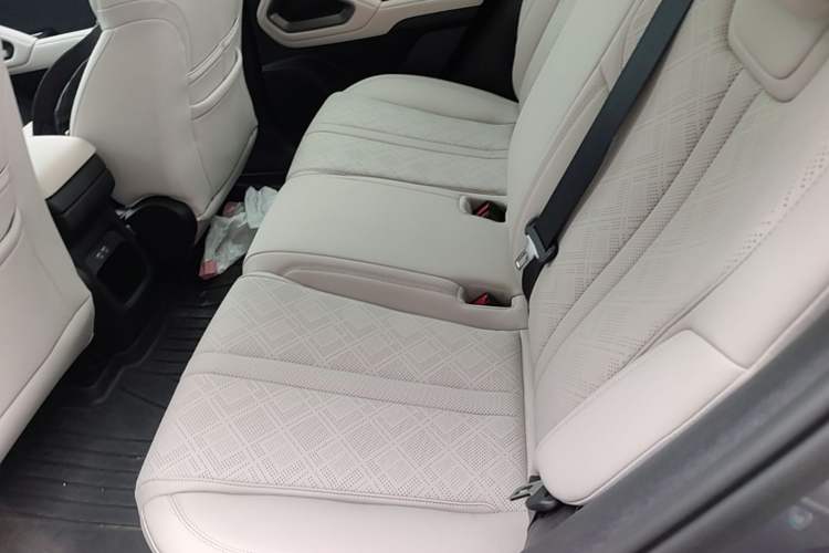 Used BYD Yuan UP 2024 401KM Beyond Edition Left Rear Seat
