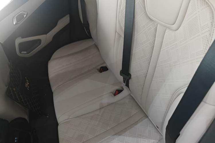 Used BYD Yuan UP 2024 401KM Leading Edition Left Rear Seat