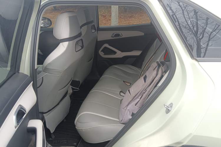 Used BYD Yuan UP 2024 401KM Leading Edition Left Rear Seat
