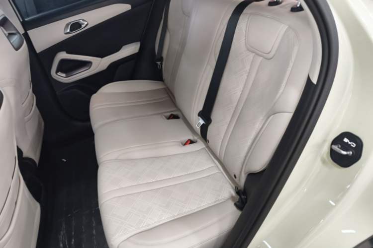Used BYD Yuan UP 2024 401KM Leading Edition Left Rear Seat