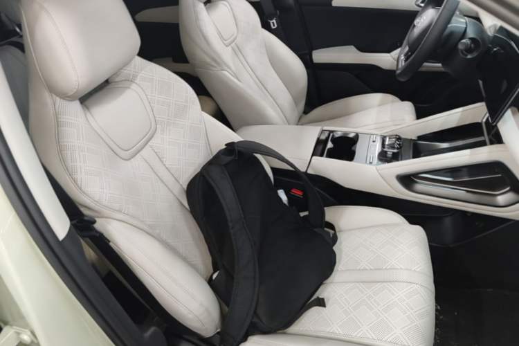 Used BYD Yuan UP 2024 401KM Leading Edition Right Front Seat